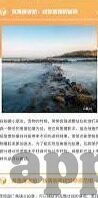 怎样可以破解森林舞会-破解森林舞会，策略与技巧